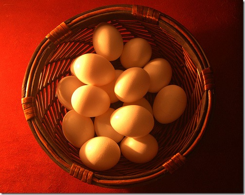 Eggs_in_One_Basket