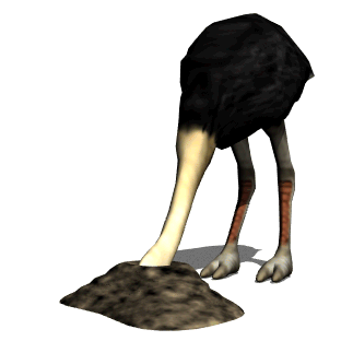 ostrich with it's head buried in the sand